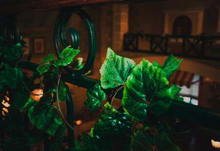 interiorの写真素材