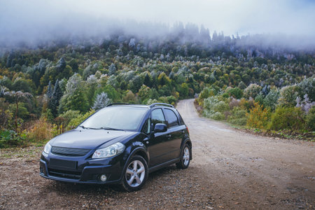 car on a mountain road the background of spruce forest