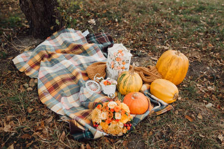 Autumn decoration with pumpkins. Beautiful photo zoneの写真素材