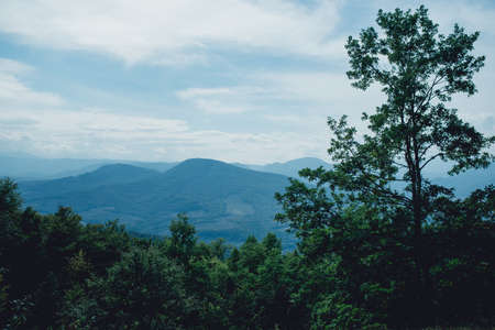 Nice view of the mountains through the woodsの写真素材