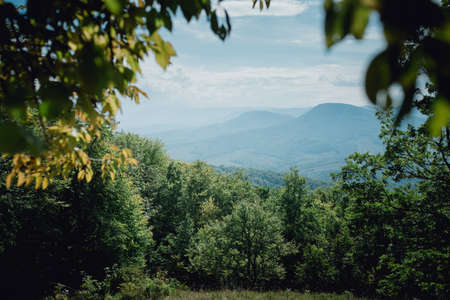 Nice view of the mountains through the woodsの写真素材