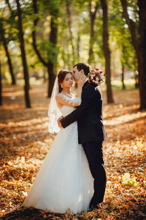 The bride and groom in autumn parkの写真素材