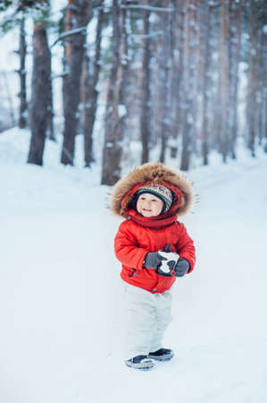 small child in a red jacket on background of winter forestの写真素材