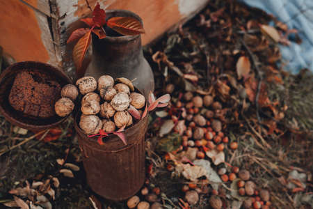 Walnuts in a rusty pot. Autumn decorの写真素材