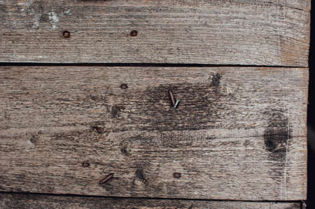 Texture of an old tree on a fenceの写真素材