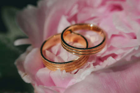 Black and white picture of wedding rings lying on dark wooden tableの写真素材