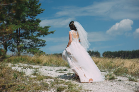 Beautiful bride posing in nature. General plan