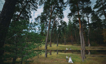 stylish bride and groom walking in natureの写真素材