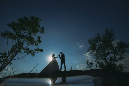 the bride and groom against the sky. expanse. newlyweds walk in nature on the hills