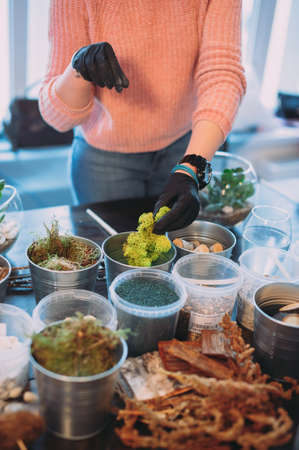 Master class on planting succulents in the florarium of glass The Floriana. Girls plant plants. Hands of the girl close-up. Making a gift and a piece of interior handmade. DIY presentの写真素材