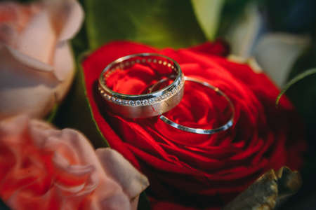 Bouquet with beautiful roses and wedding ringsの写真素材