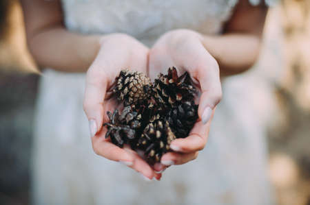 pine cones in the hands of the bride for a walkの写真素材