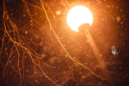Lonely street lamp with a snow and branchesの写真素材