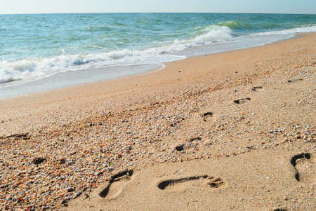 Tracesの写真素材