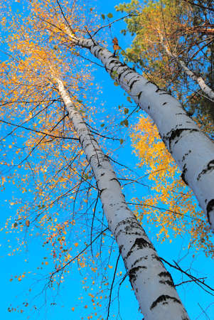 Eternityの写真素材