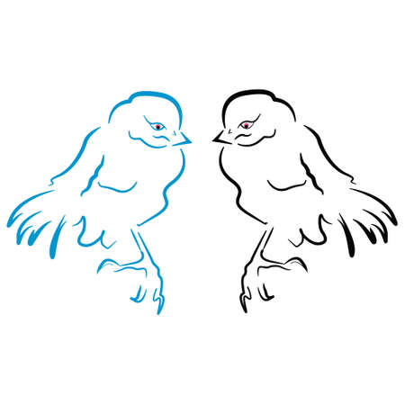 Birds sillhouette のイラスト素材