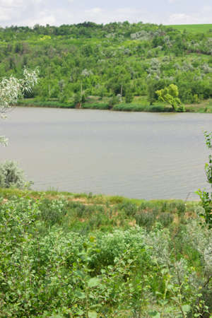 Lake with forest