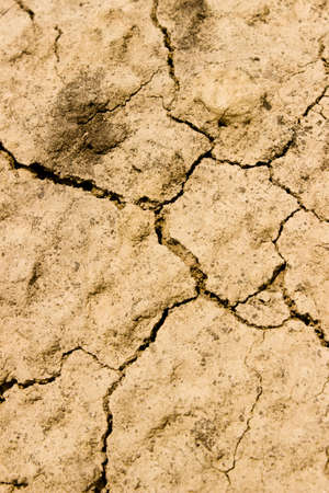 Cracked landの写真素材