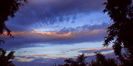 Sunset with trees
