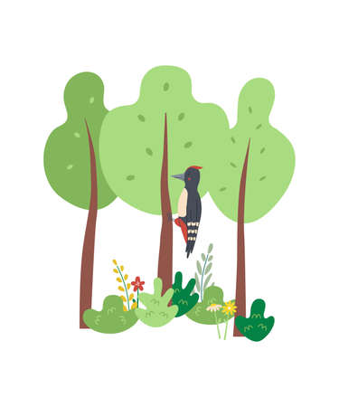 Cute woodpecker in the forest in trendy flat style. Vector illustration isolated on white background. Cartoon kids scene posterのイラスト素材