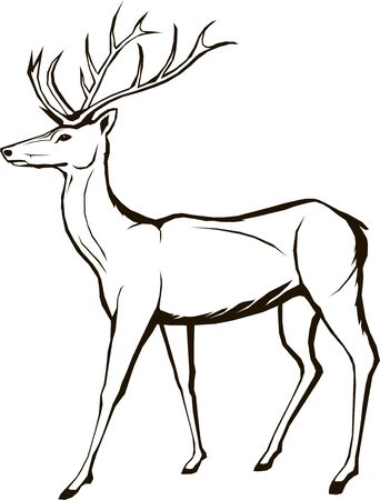 deer wildlife, animal, christmas, forest, horned, stag, element,のイラスト素材