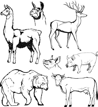 vector, animal set, graphic, monogram, black, hand drawing, bear, cow, deer, pork, lamaのイラスト素材