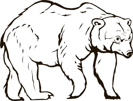 bear vector blackbear black sketch, isolated, logoのイラスト素材