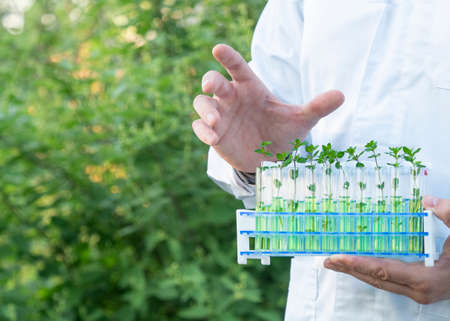 Researcher in a white coat showing test tubes with green sprouts.の写真素材