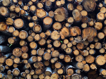 Pile stacked natural sawn wooden logs background. Close-up view.の写真素材