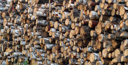 Pile stacked natural sawn wooden logs background.