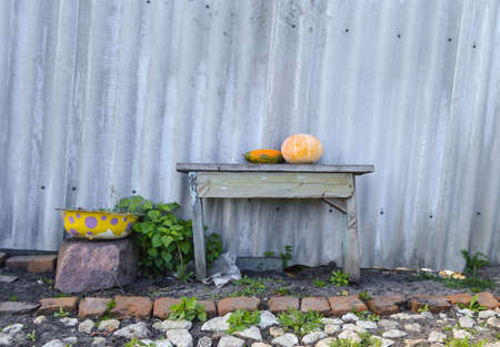 vegetables lying on a wooden bench near a fenceの写真素材