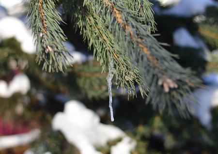 Winter frosty weather