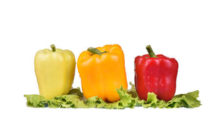 Red yellow and green pepper with green salad in water splashes on white backgroundの写真素材