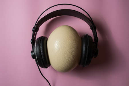 Ostrich egg with headphones on pink background