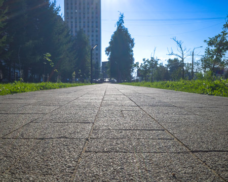 a cobblestone path in a park in the city center. natural contour light.の写真素材