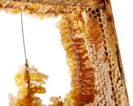 honeycomb with honey on a wooden frame. concept of healthy and therapeutic nutrition. copy space and...