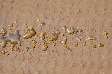 drop of resin appeared on the painted boards. the sun illuminates the drop. copyspace.