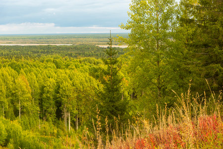 Pinega river among the forest view from the height of Krasnaya Gorka Arkhangelsk region Pinezhsky district. travel and tourismの写真素材