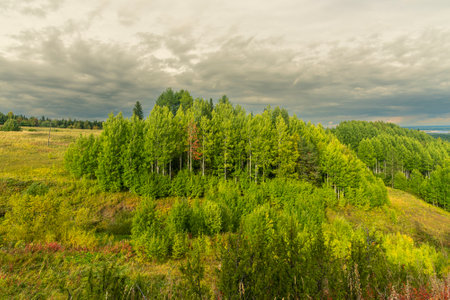 a small forest on top of a hill against a cloudy sky, Pinezhsky district Krasnaya Gorka Arkhangelsk region. travel and tourism.の写真素材