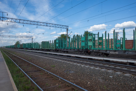 railway station with empty freight cars for timber logs. natural lightの写真素材