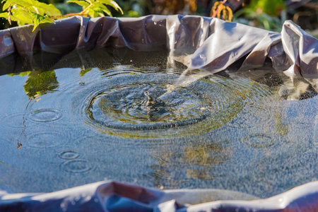 a drop falling into the water in a container against the background of greenery and nature at sunset in the evening.の写真素材