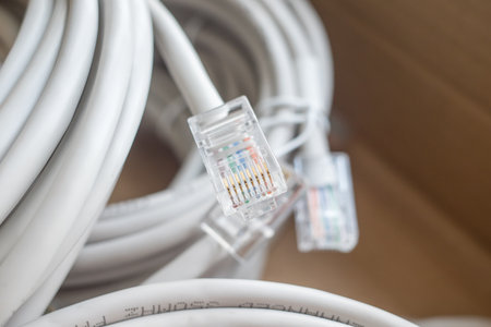 patch cords with RJ45 on the background of a blurred cardboard box. copy space.