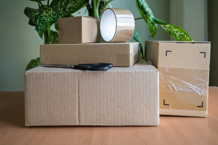 cardboard packing boxes with duct tape and scissors on the background of a houseplant