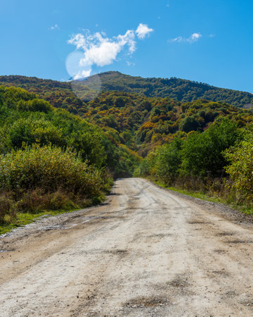 a country road going into the forest area in the foothills towards the mountains. day light and natural light.の写真素材