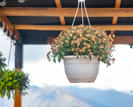 decorative flowers in hanging pots for interior decoration against the background of mountainsの写真素材