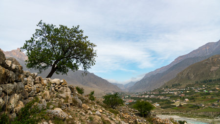 view of a mountain gorge with a village in the distance and a tree in the foreground