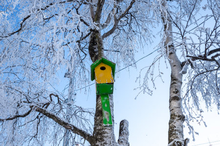 yellow and green birdhouse attached to a birch tree in winter.