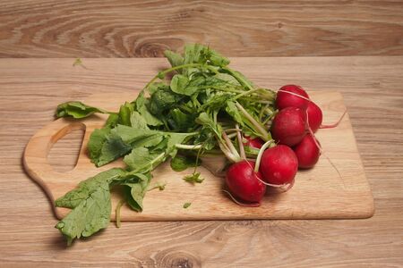 Radish garden plants with edible white or reddish rootの写真素材