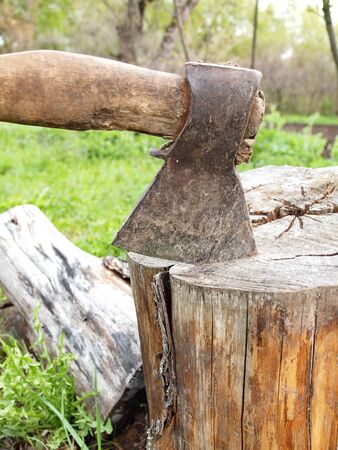 axe stuck in tree stumpの写真素材