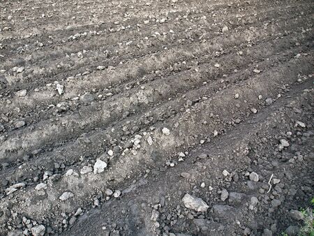 arable land plowing furrows for planting potatoesの写真素材